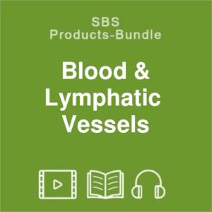 SBS blood lymphe bundle