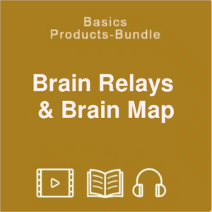 Basic bundle brain-relays-brain-map