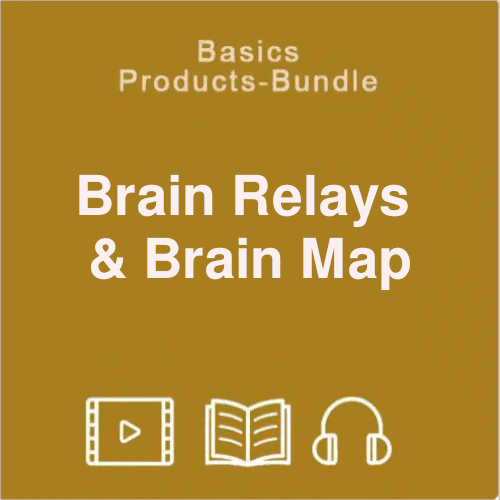 Basic bundle brain-relays-brain-map