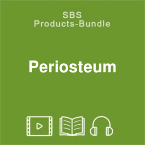 SBS bundle periosteum