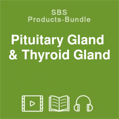 SBS pituitary-gland thyroid-gland