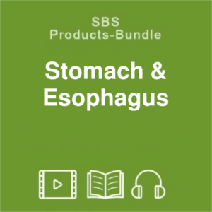 SBS - Stomach & Esophagus